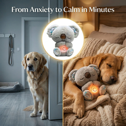 Calming Koala Plush: Natural Anxiety & Stress Relief for Pets